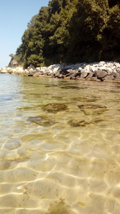 Villa Mareli Tsarevo Dış mekan fotoğraf